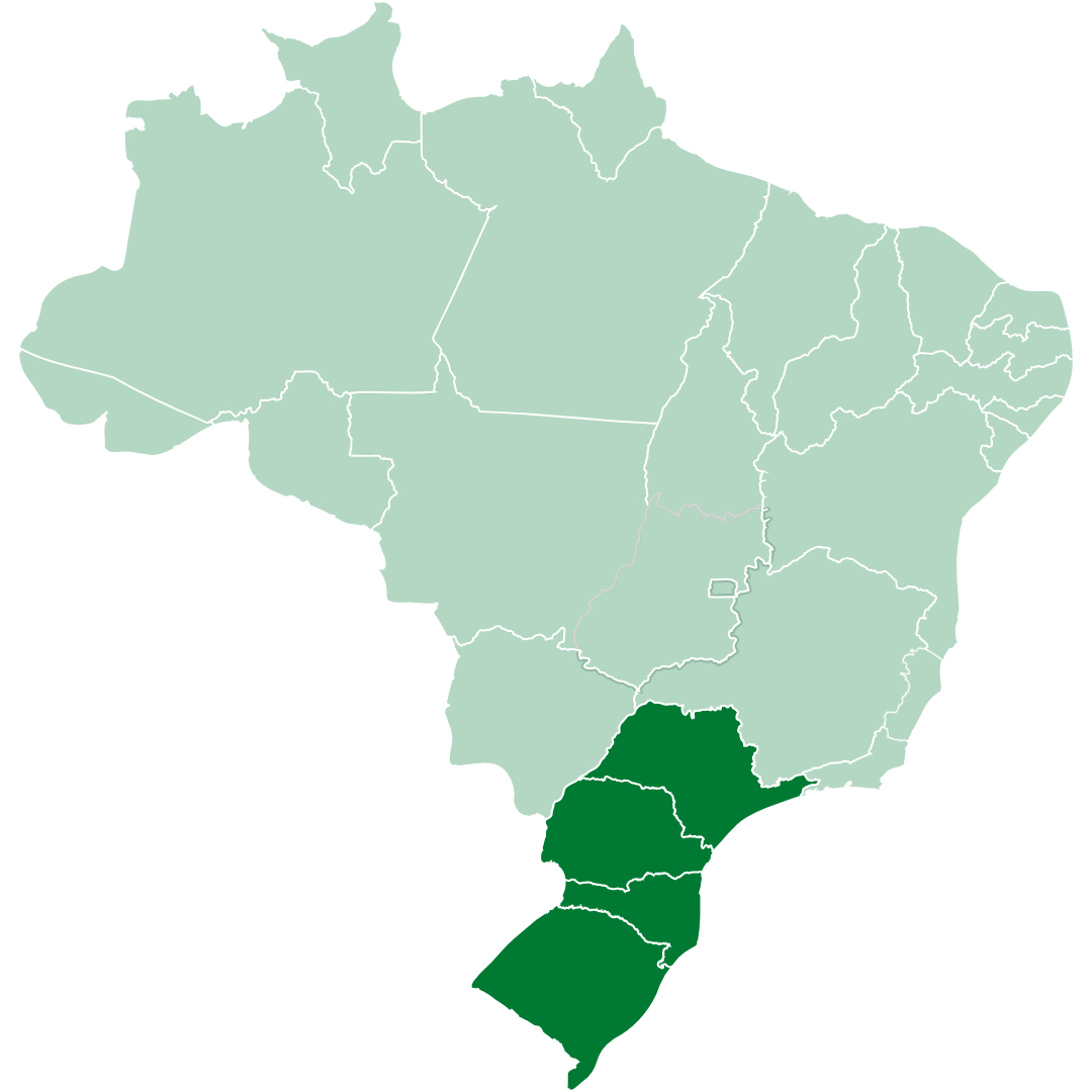 Sem Título